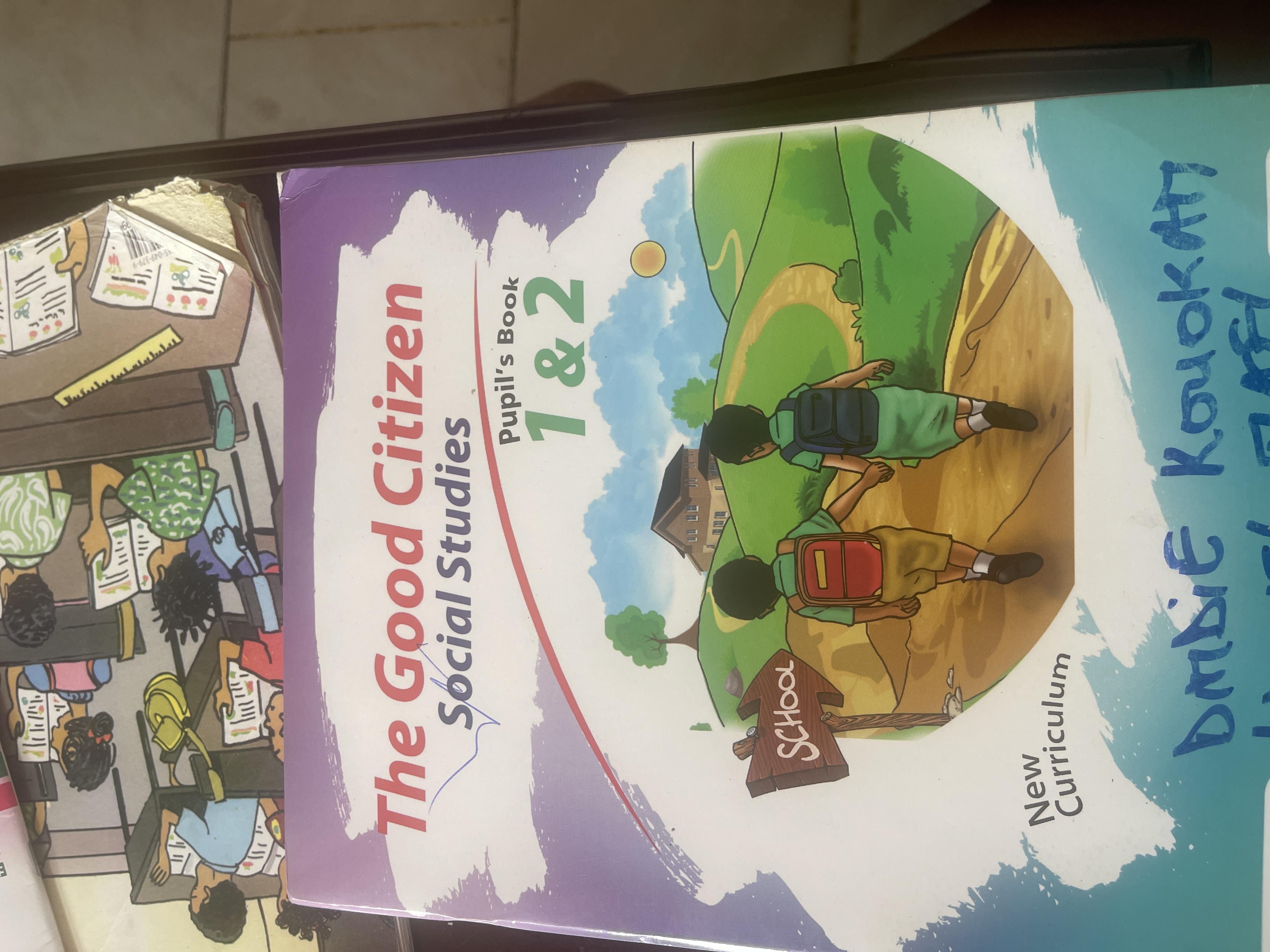 The good citizen pupil's book (classes i and ii)